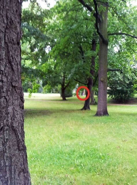 regenalbum10_annaschmidt-berlin