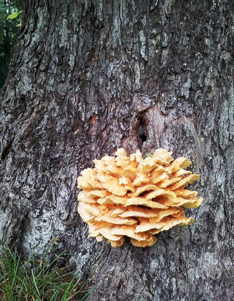 regenalbum14_annaschmidt-berlin