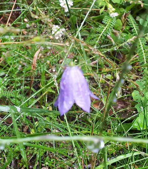 regenalbum17_annaschmidt-berlin