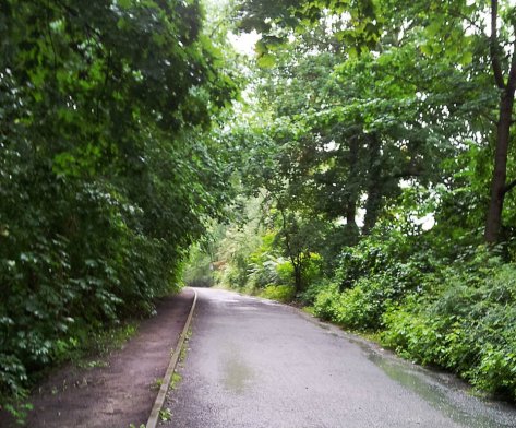 regenalbum2_annaschmidt-berlin