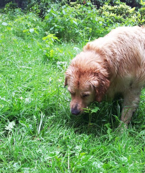 regenalbum5_annaschmidt-berlin