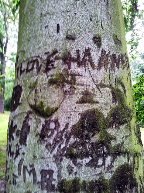 regenalbum8_annaschmidt-berlin