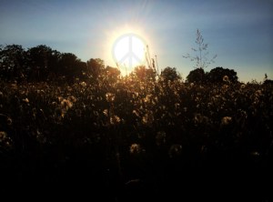 annaschmidt-berlin.com_frieden