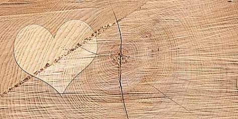 ©photo5000-Fotolia.com