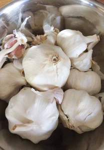 annaschmidt-berlin.com_knoblauch_1