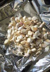 annaschmidt-berlin.com_knoblauch_5