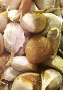 annaschmidt-berlin.com_knoblauch_8