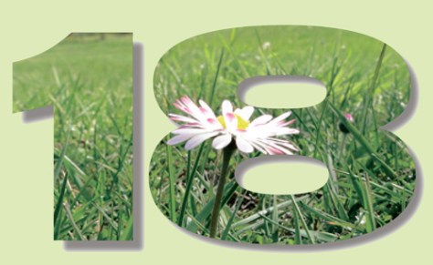 annaschmidt-berlin.com_18