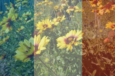 annaschmidt-berlin.com_freiheit