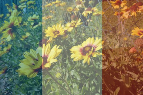 annaschmidt-berlin.com_freiheit