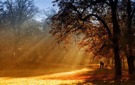 Foto: c2a9drsg98 - fotolia-com