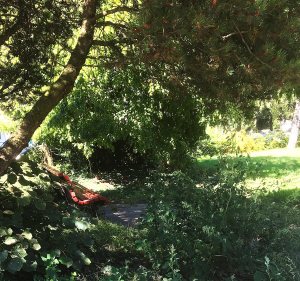 annaschmidt-berlin.com_die-frau-auf-der-bank